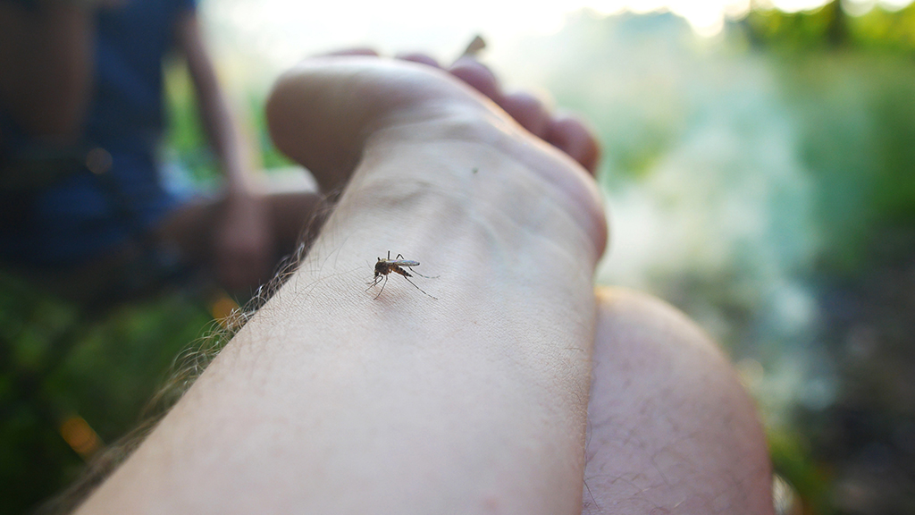 Dengue Shock Syndrome - A Critical Condition explained by Yashoda Super Speciality Hospital Kaushambi, featuring a visual representation of symptoms like high fever, severe pain, bleeding, and a patient receiving medical care in a hospital setting.